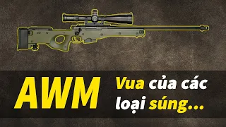 Khám phá sức mạnh của súng bắn tỉa AWM (Arctic Warfare Magnum) | Thư Viện Online