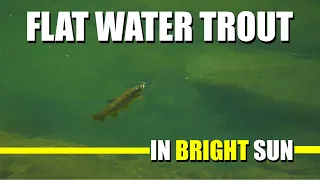 Fly Fishing Trout Rivers: Flat Water Trout in BRIGHT SUMMER SUN - How to Fly Fish Trout Rivers