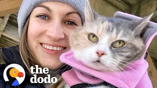 Woman Adopts Her Grandparent’s Grumpy Cat And Then Has The Best Idea | The Dodo Heroes