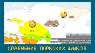 НАСКОЛЬКО ТЮРКИ ПОНИМАЮТ ДРУГ ДРУГА???