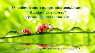 Ознайомлення з природним довкіллям "Цікавий світ комах"