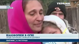 До 31 людини зросла кількість загиблих через лісові пожежі в Каліфорнії