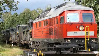 Militärzug Logistikbataillon 171 in Trauen