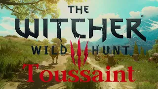 Witcher 3 - Toussaint - Ambience & Music