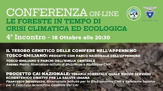 4° Incontro - Le foreste in tempo di crisi climatica ed ecologica