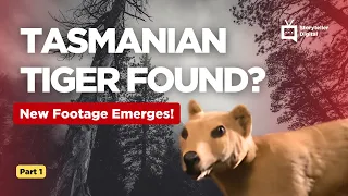 Tasmanian Tiger: EXTINCT or Running Wild? (Animal X Reveals New Footage!)