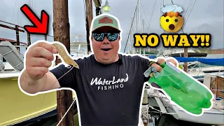 I CAUGHT My Bait Shrimp With A COKE BOTTLE TRAP! *Catch, Clean and Cook*