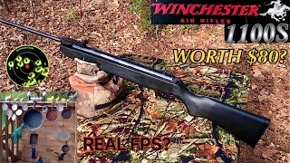 One Year Review Winchester 1100S Air Rifle Full Review and Plinking