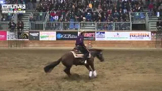 2011 IRHA Futurity - RUDI KRONSTEINER-DANCE LITTLE SPOOK - Futurity Open Final