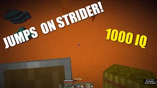 Dream Insane NETHER Plays (1000 IQ)