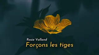 Rosie Valland - Forçons les tiges (Lyrics | Paroles)