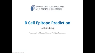 2021 User Workshop – 2.7 – B Cell Epitope Prediction