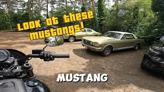 Classic Mustangs Shelby and Mercedes racing at circuit Zolder - S1E19