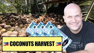 MAKING MONEY in the PHILIPPINES 🇵🇭 | Make CHARCOAL from our COCONUTS HARVEST