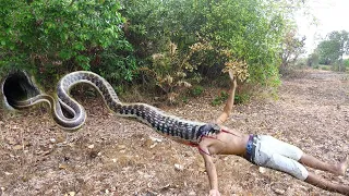 Easy Snake Trap - Creative Method DIY Snake Trap Using Coconut That Work 100%