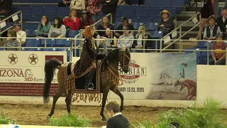 Continuation - Native Costume JTR Championship Scottsdale Arabian Horse Show