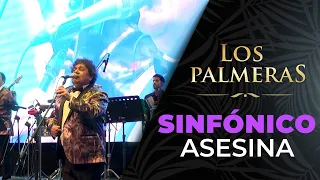 Los Palmeras y la Sinfónica de Santa Fe - Asesina