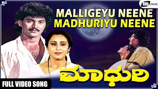Malligeyu Neene Madhuriyu Neene | Madhuri | Vinod Alva | Geetha | Kannada Video Songs