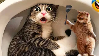 New Funny Animals 😂 Funniest Cats and Dogs Videos 2024 😺🐶Try Not To Laugh #64