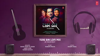 Tere Bin (Lofi Mix) song by Rahat Fateh Ali khan and Ranbir Singh