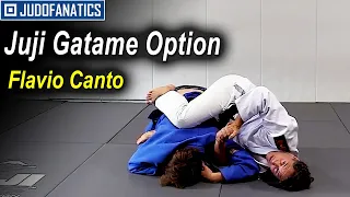 Juji Gatame Option by Flavio Canto