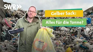 Recycling: So viel bringt der Gelbe Sack und das passiert wirklich mit eurem Müll I SWR Ökochecker
