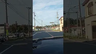 マムシ堂だよ。Place for processing japanese poisonous snakes 下り。右側。気になる店。青森県平川市碇ヶ関。ちゃかしー