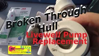 Remove a thru hull - Livewell Pump replacement - 3M 5200 - Boat repair