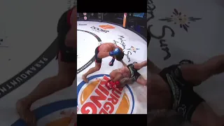 Вадим Немков vs Райан Бэйдер  #bellator #нокаут #mma