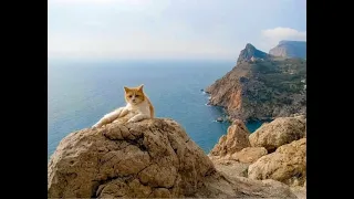 Крым. Байдарская долина, водопад Козырек.