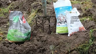 Кислотность почвы и её влияние на растения