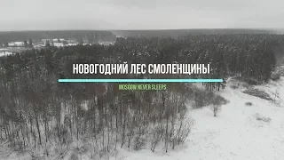 Dji Mavic Air / Новогодний Лес Смоленщины / 4K