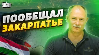 Путин пообещал Венгрии Закарпатье, но облажался – Жданов