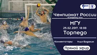 Водное поло. Чемпионат России НВА. МГУ - Торпедо (прямой эфир)