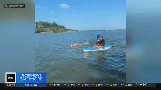 Maryland swimmer to tackle 24-mile swim from Bay to Inner Harbor