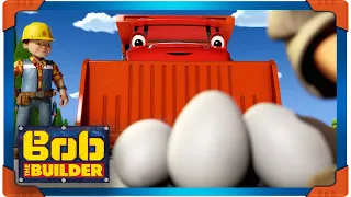 Bob the Builder US 🛠⭐ Here be Dragons 🛠⭐ Cartoons for Kids