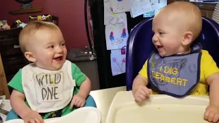 Best Of Video Twin Babies Compilation 2020 - Funny Moments For Baby - Funny Baby Cut