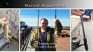 нарвал аргумент  Narval Argument