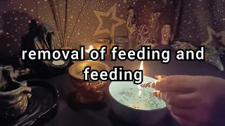 removal of feeding and feeding