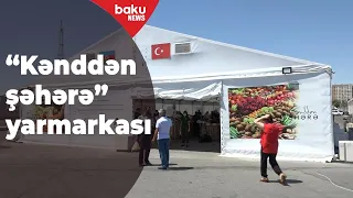 Bakıda "Kənddən şəhərə" yarmarkası - Baku TV