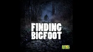 Playing roblox bigfoot with my friend