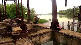 РЫБАЛКА В АНОМАЛЬНОЙ ЗОНЕ. РЫБА ВЫПРЫГИВАЕТ ИЗ ВОДЫ. ЗООПАРК ПОД НОГАМИ, СЛОЖНО ПОВЕРИТЬ. ПОПЛАВОК