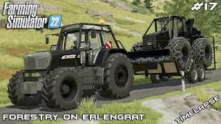 Pulling logs from FOREST with SKIDDER | Forestry on ERLENGRAT | Farming Simulator 22 | Episode 17