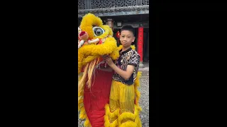 Behind the scenes of lion dance routines