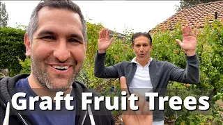 How to Graft Peach Trees (Also Works on Plum, Apricot, Cherry, and other Stone Fruit!!)