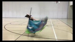 2017 Bluecoats Audition - Color Guard