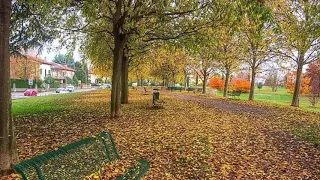 Autumn Colors: Udine e Friuli Venezia Giulia Italy