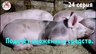 Миллион на свиньях.Подсчет вложенных средств!