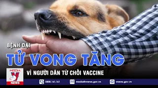 Tử vong do bệnh dại tăng vì người dân từ chối vaccine - VNEWS