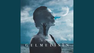 Gelmelisin